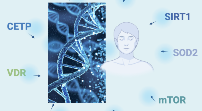 Boletín mensual de Heales La muerte de la muerte N° 204. Genes de la longevidad