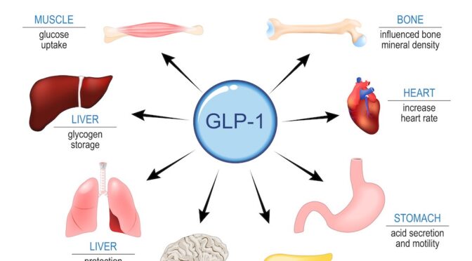 Heales maandelijkse nieuwsbrief De dood van de dood N°202. Februari 2026. Het thema van deze maand: GLP-1, het eerste middel met brede positieve effecten voor een lang leven?